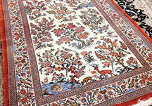 Rug Cleaning Sunshine Coast